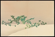 Flowers of a Hundred Worlds (Momoyogusa), Kamisaka Sekka (Japanese, 1866–1942), Set of three woodblock-printed books; ink and color on paper, Japan