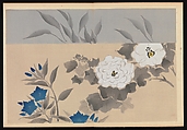 Kōrin-style Patterns (Kōrin moyō), Furuya Kōrin (Japanese, 1875–1910), Two volumes; ink on paper, Japan