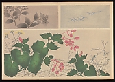 Kōrin-style Patterns (Kōrin moyō), Furuya Kōrin (Japanese, 1875–1910), Two volumes; ink on paper, Japan