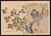 Kōrin-style Patterns (Kōrin moyō), Furuya Kōrin (Japanese, 1875–1910), Two volumes; ink on paper, Japan