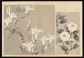 Kōrin-style Patterns (Kōrin moyō), Furuya Kōrin (Japanese, 1875–1910), Two volumes; ink on paper, Japan