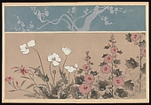 Kōrin-style Patterns (Kōrin moyō), Furuya Kōrin (Japanese, 1875–1910), Two volumes; ink on paper, Japan