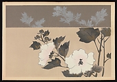 Kōrin-style Patterns (Kōrin moyō), Furuya Kōrin (Japanese, 1875–1910), Two volumes; ink on paper, Japan