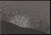 A Thousand Grasses (Chigusa), Kamisaka Sekka (Japanese, 1866–1942), Set of three woodblock-printed books; ink and color on paper, Japan