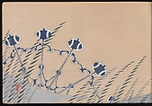 A Thousand Grasses (Chigusa), Kamisaka Sekka (Japanese, 1866–1942), Set of three woodblock-printed books; ink and color on paper, Japan