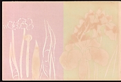 A Thousand Grasses (Chigusa), Kamisaka Sekka (Japanese, 1866–1942), Set of three woodblock-printed books; ink and color on paper, Japan
