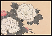 Flowers of a Hundred Worlds (Momoyogusa), Kamisaka Sekka (Japanese, 1866–1942), Set of three woodblock-printed books; ink and color on paper, Japan