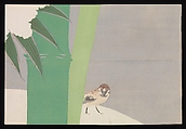 Flowers of a Hundred Worlds (Momoyogusa), Kamisaka Sekka (Japanese, 1866–1942), Set of three woodblock-printed books; ink and color on paper, Japan