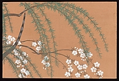 Flowers of a Hundred Worlds (Momoyogusa), Kamisaka Sekka (Japanese, 1866–1942), Set of three woodblock-printed books; ink and color on paper, Japan