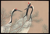 Flowers of a Hundred Worlds (Momoyogusa), Kamisaka Sekka (Japanese, 1866–1942), Set of three woodblock-printed books; ink and color on paper, Japan