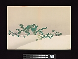 Flowers of a Hundred Worlds (Momoyogusa), Kamisaka Sekka (Japanese, 1866–1942), Set of three woodblock-printed books; ink and color on paper, Japan