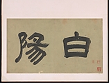 Garden Flowers, After Chen Chun (Chinese, 1483–1544), Album of sixteen paintings and one leaf of calligraphy; ink and color on paper, China