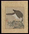 Album of Hawks and Calligraphy, Kano Tsunenobu (Japanese, 1636–1713), Album of ten paintings; ink and color on silk, Japan