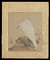 Kano Tsunenobu | Album of Hawks and Calligraphy | Japan | Edo period ...