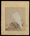 Album of Hawks and Calligraphy, Kano Tsunenobu (Japanese, 1636–1713), Album of ten paintings; ink and color on silk, Japan