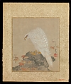 Kano Tsunenobu | Album of Hawks and Calligraphy | Japan | Edo period ...