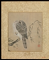 Album of Hawks and Calligraphy, Kano Tsunenobu (Japanese, 1636–1713), Album of ten paintings; ink and color on silk, Japan