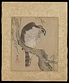 Album of Hawks and Calligraphy, Kano Tsunenobu (Japanese, 1636–1713), Album of ten paintings; ink and color on silk, Japan