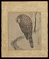 Album of Hawks and Calligraphy, Kano Tsunenobu (Japanese, 1636–1713), Album of ten paintings; ink and color on silk, Japan