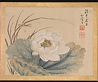 Flowers and Birds, Taki Katei (Japanese, 1830–1901), Album of twelve leaves; ink and color on silk, Japan