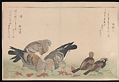 Myriad Birds: Picture Book of Playful Verse (Momo chidori kyōka-awase), Kitagawa Utamaro (Japanese, ca. 1754–1806), Woodblock printed book (vols. 1 and 2); ink and color on paper, Japan