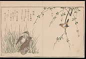 Myriad Birds: Picture Book of Playful Verse (Momo chidori kyōka-awase), Kitagawa Utamaro (Japanese, ca. 1754–1806), Woodblock printed book (vols. 1 and 2); ink and color on paper, Japan