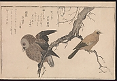 Myriad Birds: Picture Book of Playful Verse (Momo chidori kyōka-awase), Kitagawa Utamaro (Japanese, ca. 1754–1806), Woodblock printed book (vols. 1 and 2); ink and color on paper, Japan