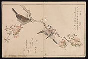 Myriad Birds:A Playful Poetry Contest (Momo chidori kyōka-awase), 2 vols., Kitagawa Utamaro (Japanese, ca. 1754–1806), Two volumes; woodblock printed books; ink and color on paper, Japan