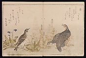 Myriad Birds:A Playful Poetry Contest (Momo chidori kyōka-awase), 2 vols., Kitagawa Utamaro (Japanese, ca. 1754–1806), Two volumes; woodblock printed books; ink and color on paper, Japan