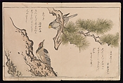 Myriad Birds:A Playful Poetry Contest (Momo chidori kyōka-awase), 2 vols., Kitagawa Utamaro (Japanese, ca. 1754–1806), Two volumes; woodblock printed books; ink and color on paper, Japan