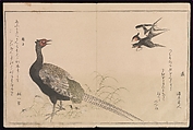 Myriad Birds:A Playful Poetry Contest (Momo chidori kyōka-awase), 2 vols., Kitagawa Utamaro (Japanese, ca. 1754–1806), Two volumes; woodblock printed books; ink and color on paper, Japan