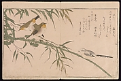 Myriad Birds:A Playful Poetry Contest (Momo chidori kyōka-awase), 2 vols., Kitagawa Utamaro (Japanese, ca. 1754–1806), Two volumes; woodblock printed books; ink and color on paper, Japan