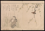 Myriad Birds:A Playful Poetry Contest (Momo chidori kyōka-awase), 2 vols., Kitagawa Utamaro (Japanese, ca. 1754–1806), Two volumes; woodblock printed books; ink and color on paper, Japan
