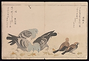 Myriad Birds:A Playful Poetry Contest (Momo chidori kyōka-awase), 2 vols., Kitagawa Utamaro (Japanese, ca. 1754–1806), Two volumes; woodblock printed books; ink and color on paper, Japan