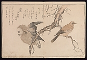 Myriad Birds:A Playful Poetry Contest (Momo chidori kyōka-awase), 2 vols., Kitagawa Utamaro (Japanese, ca. 1754–1806), Two volumes; woodblock printed books; ink and color on paper, Japan