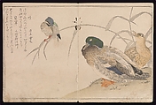 Myriad Birds:A Playful Poetry Contest (Momo chidori kyōka-awase), 2 vols., Kitagawa Utamaro (Japanese, ca. 1754–1806), Two volumes; woodblock printed books; ink and color on paper, Japan