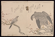 Myriad Birds:A Playful Poetry Contest (Momo chidori kyōka-awase), 2 vols., Kitagawa Utamaro (Japanese, ca. 1754–1806), Two volumes; woodblock printed books; ink and color on paper, Japan