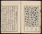 Sarasa benran no mokuroku (catalogue compendium of sarasa designs), Woodblock-printed book, Japan