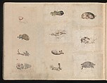 Miniature Drawings for Craftspeople, Katsushika Hokusai (Japanese, Tokyo (Edo) 1760–1849 Tokyo (Edo)), Two albums pasted with 548 drawings; ink and color on paper, Japan
