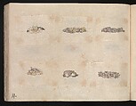 Miniature Drawings for Craftspeople, Katsushika Hokusai (Japanese, Tokyo (Edo) 1760–1849 Tokyo (Edo)), Two albums pasted with 548 drawings; ink and color on paper, Japan