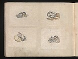 Miniature Drawings for Craftspeople, Katsushika Hokusai (Japanese, Tokyo (Edo) 1760–1849 Tokyo (Edo)), Two albums pasted with 548 drawings; ink and color on paper, Japan