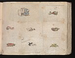 Miniature Drawings for Craftspeople, Katsushika Hokusai (Japanese, Tokyo (Edo) 1760–1849 Tokyo (Edo)), Two albums pasted with 548 drawings; ink and color on paper, Japan