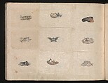 Miniature Drawings for Craftspeople, Katsushika Hokusai (Japanese, Tokyo (Edo) 1760–1849 Tokyo (Edo)), Two albums pasted with 548 drawings; ink and color on paper, Japan