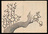 Volume 1, pages 13, 14. White plum Kōrin Picture Album (Kōrin gafu) 光琳画譜, Nakamura Hōchū 中村芳中 (Japanese, died 1819), Woodblock printed book in two volumes (orihon, accordion-style); ink and color on paper, Japan