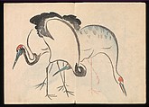 Volume 1, pages 15, 16. Cranes Kōrin Picture Album (Kōrin gafu) 光琳画譜, Nakamura Hōchū 中村芳中 (Japanese, died 1819), Woodblock printed book in two volumes (orihon, accordion-style); ink and color on paper, Japan