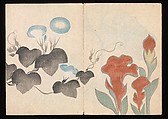 Volume 1, pages 21, 22. Morning glory and plumed cockscomb Kōrin Picture Album (Kōrin gafu) 光琳画譜, Nakamura Hōchū 中村芳中 (Japanese, died 1819), Woodblock printed book in two volumes (orihon, accordion-style); ink and color on paper, Japan