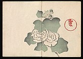 Kōrin Picture Album (Kōrin gafu) 光琳画譜, Nakamura Hōchū 中村芳中 (Japanese, died 1819), Woodblock printed book in two volumes (orihon, accordion-style); ink and color on paper, Japan