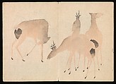 Kōrin Picture Album (Kōrin gafu) 光琳画譜, Nakamura Hōchū 中村芳中 (Japanese, died 1819), Woodblock printed book in two volumes (orihon, accordion-style); ink and color on paper, Japan