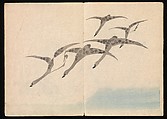 Kōrin Picture Album (Kōrin gafu) 光琳画譜, Nakamura Hōchū 中村芳中 (Japanese, died 1819), Woodblock printed book in two volumes (orihon, accordion-style); ink and color on paper, Japan