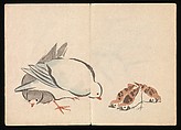 Kōrin Picture Album (Kōrin gafu) 光琳画譜, Nakamura Hōchū 中村芳中 (Japanese, died 1819), Woodblock printed book in two volumes (orihon, accordion-style); ink and color on paper, Japan